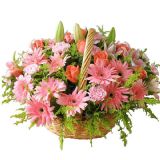 湘桥鲜花速递